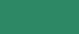 Skooner brand color green