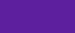 Skooner brand color primary purple